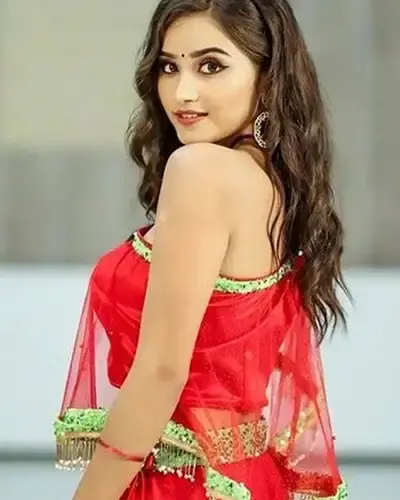 Escort In Pappireddipatti